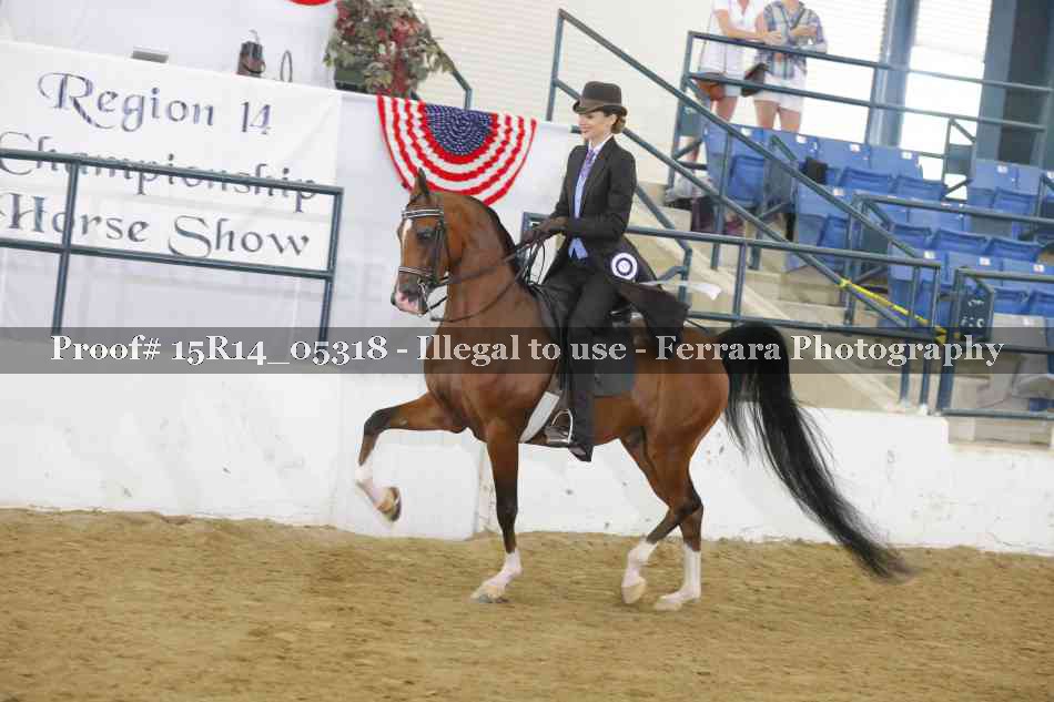 Proof Number 15R14_05318