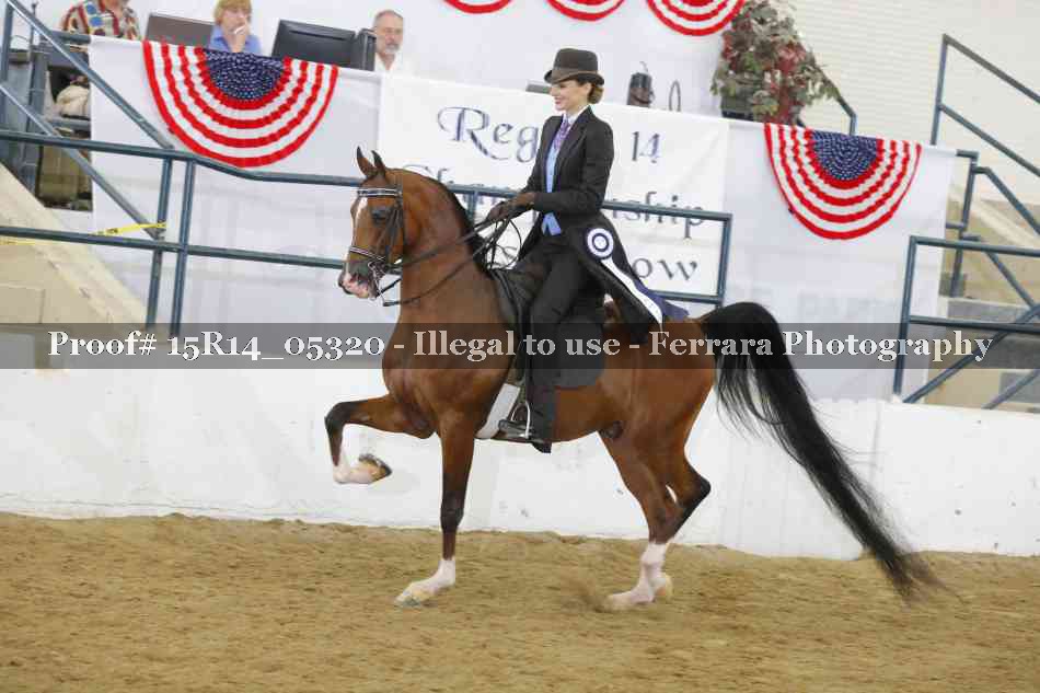 Proof Number 15R14_05320