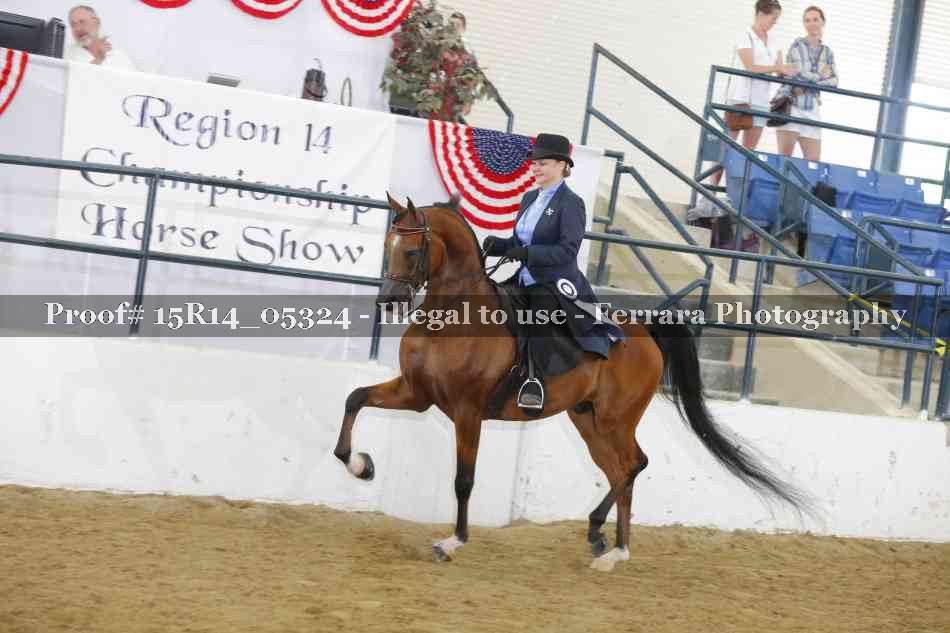 Proof Number 15R14_05324