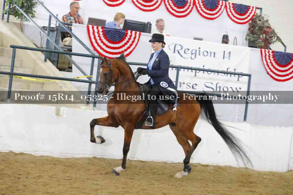 Proof Number 15R14_05325