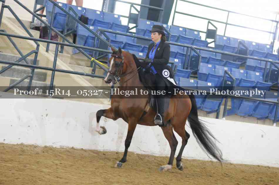 Proof Number 15R14_05327