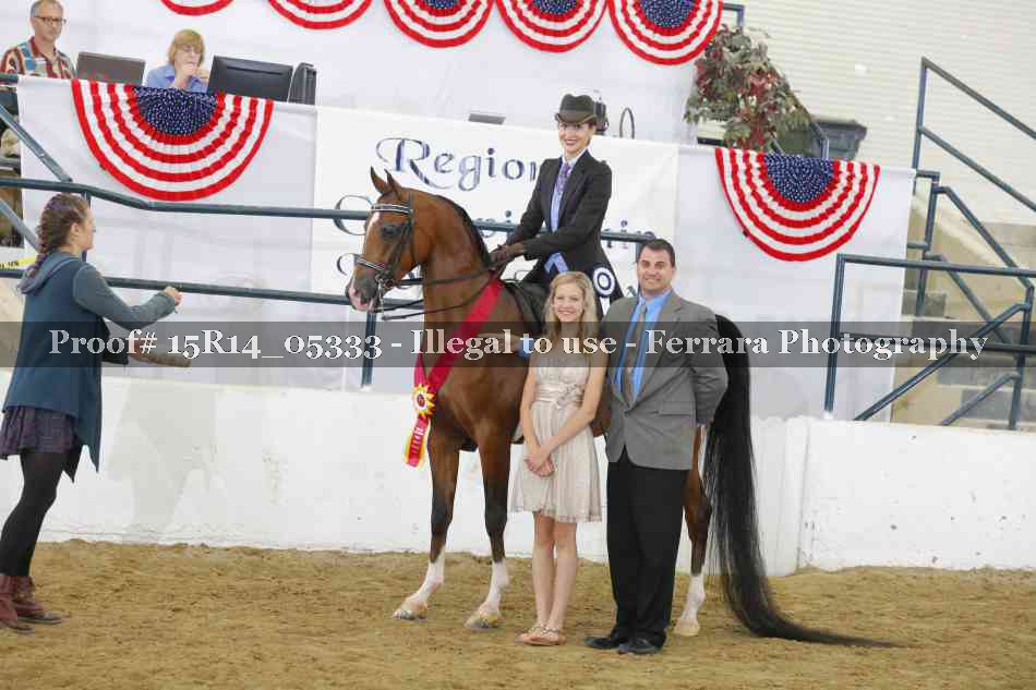 Proof Number 15R14_05333