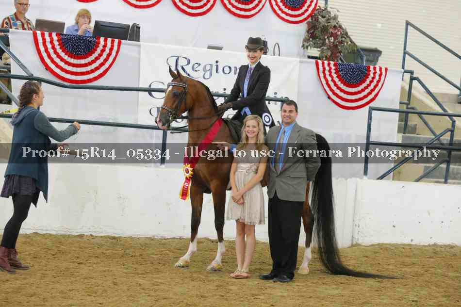 Proof Number 15R14_05334