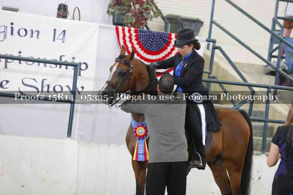 Proof Number 15R14_05335