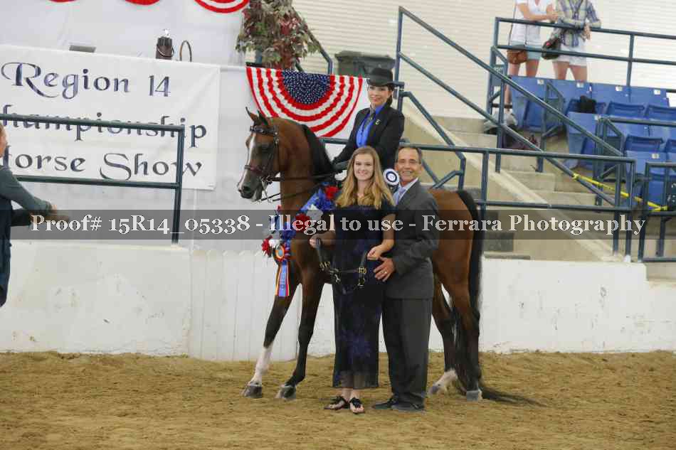 Proof Number 15R14_05338