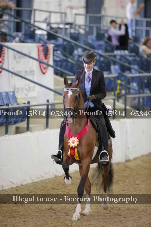 Proof Number 15R14_05340