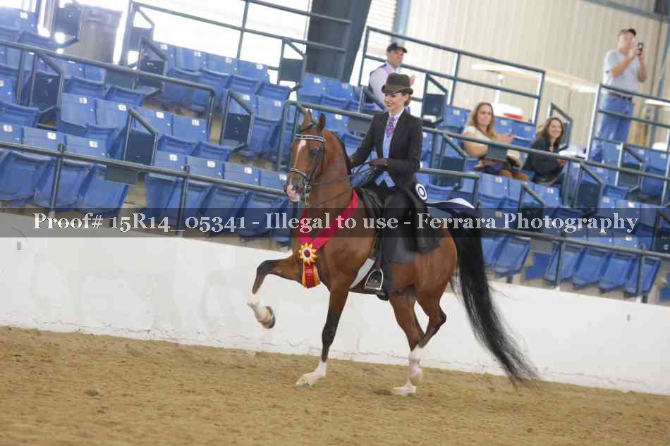 Proof Number 15R14_05341