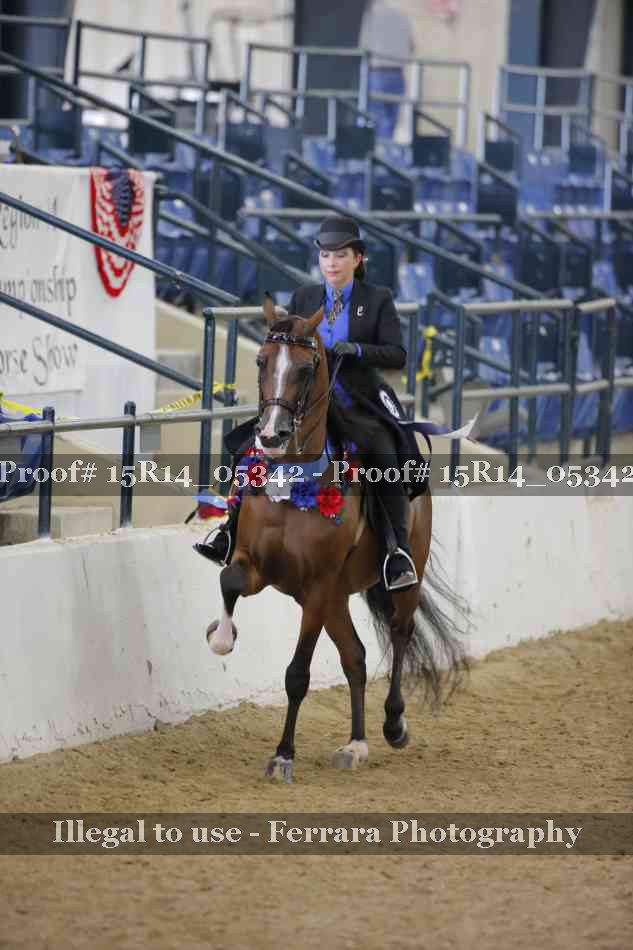 Proof Number 15R14_05342