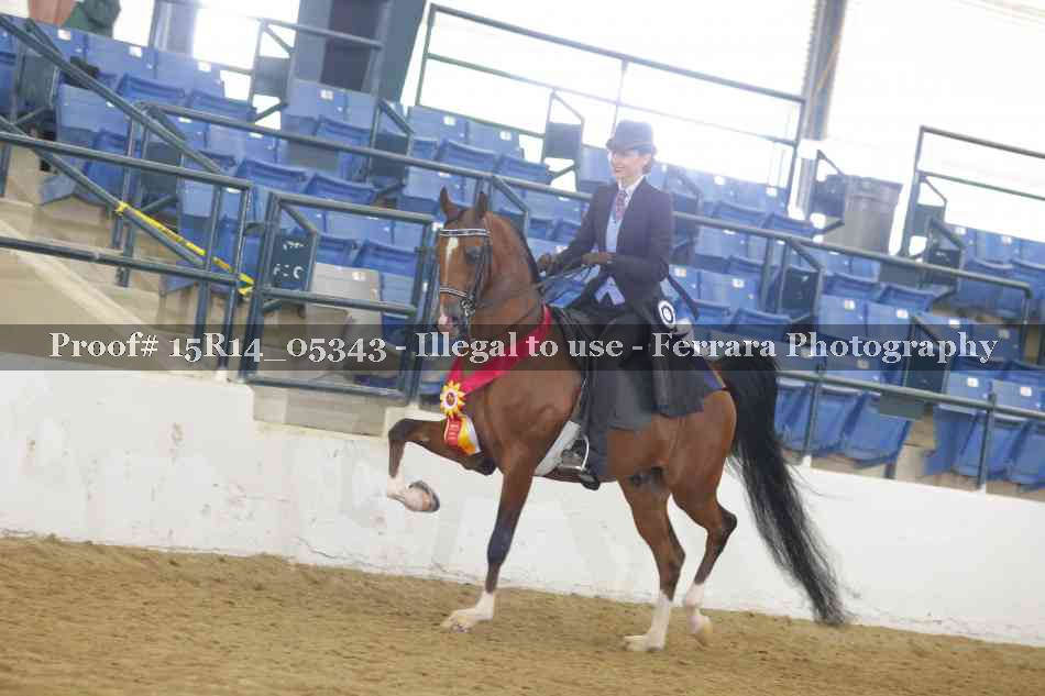 Proof Number 15R14_05343