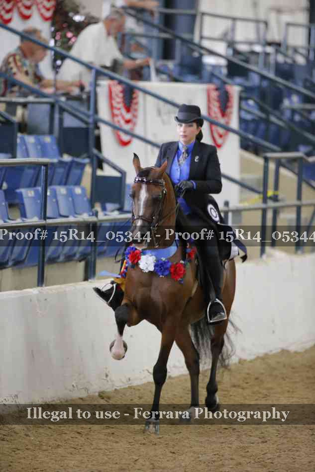 Proof Number 15R14_05344