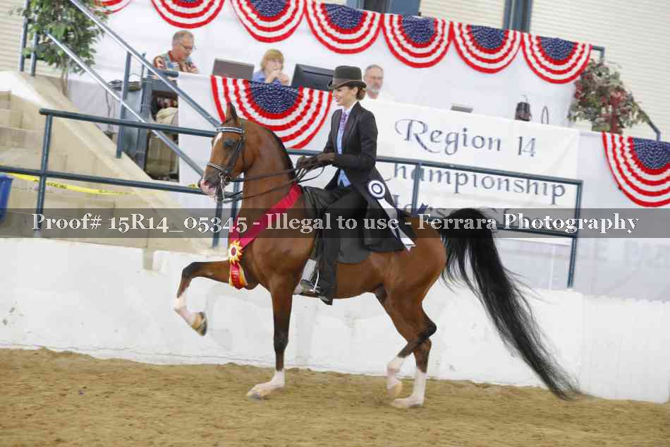 Proof Number 15R14_05345