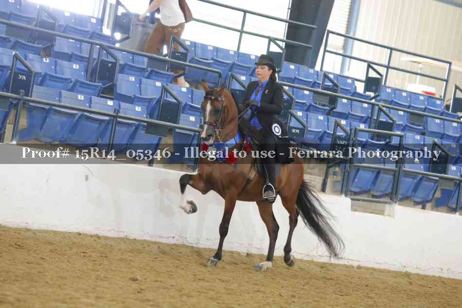 Proof Number 15R14_05346