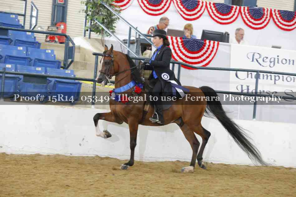 Proof Number 15R14_05349