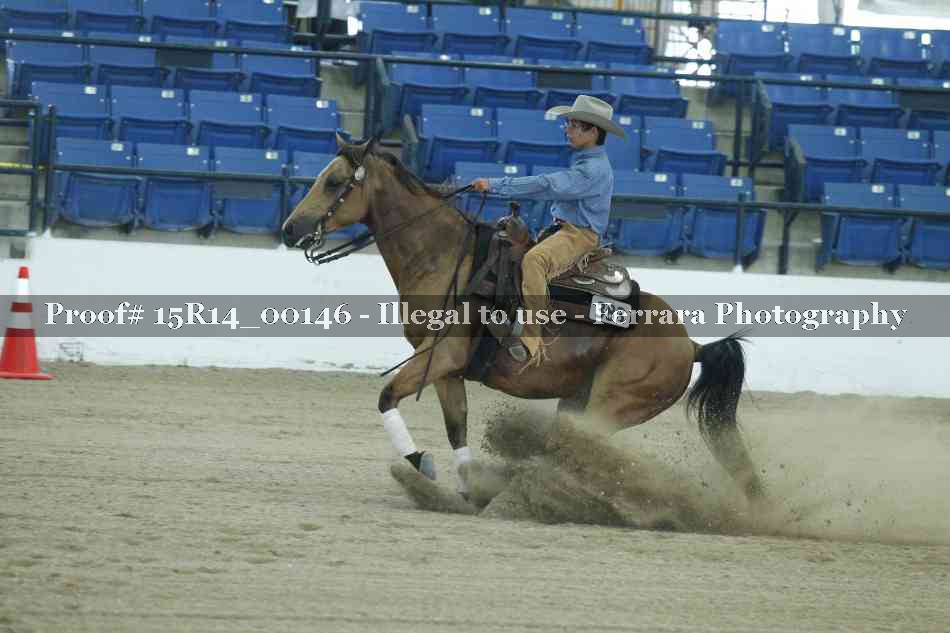 Proof Number 15R14_00146