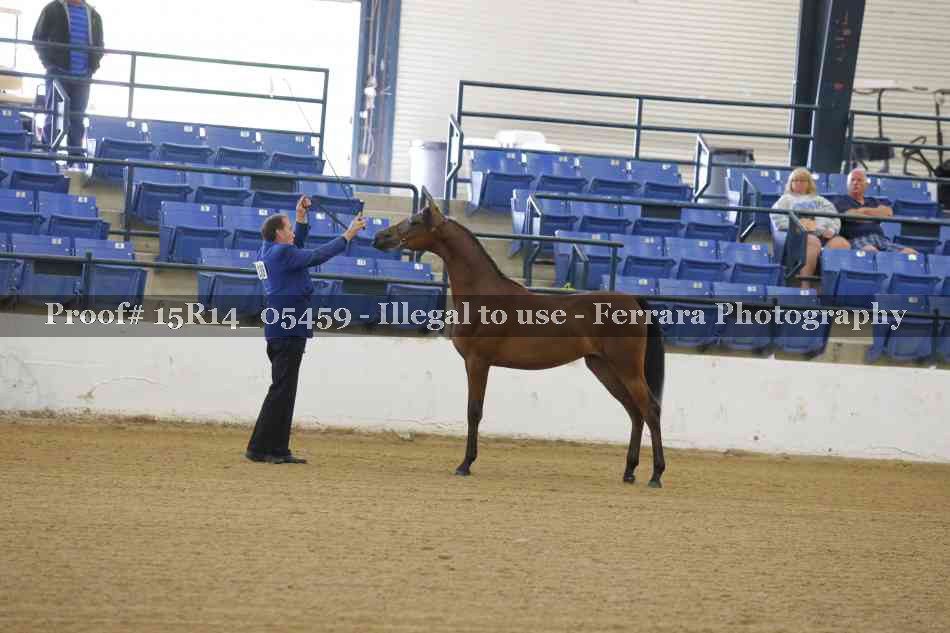 Proof Number 15R14_05459