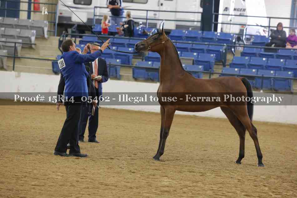 Proof Number 15R14_05462
