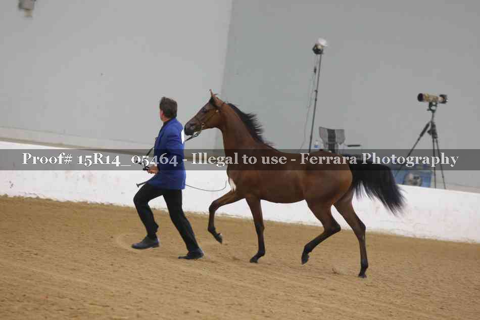 Proof Number 15R14_05464