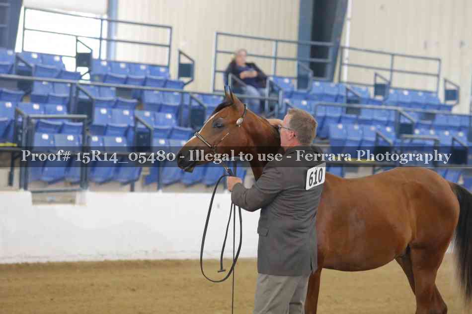 Proof Number 15R14_05480