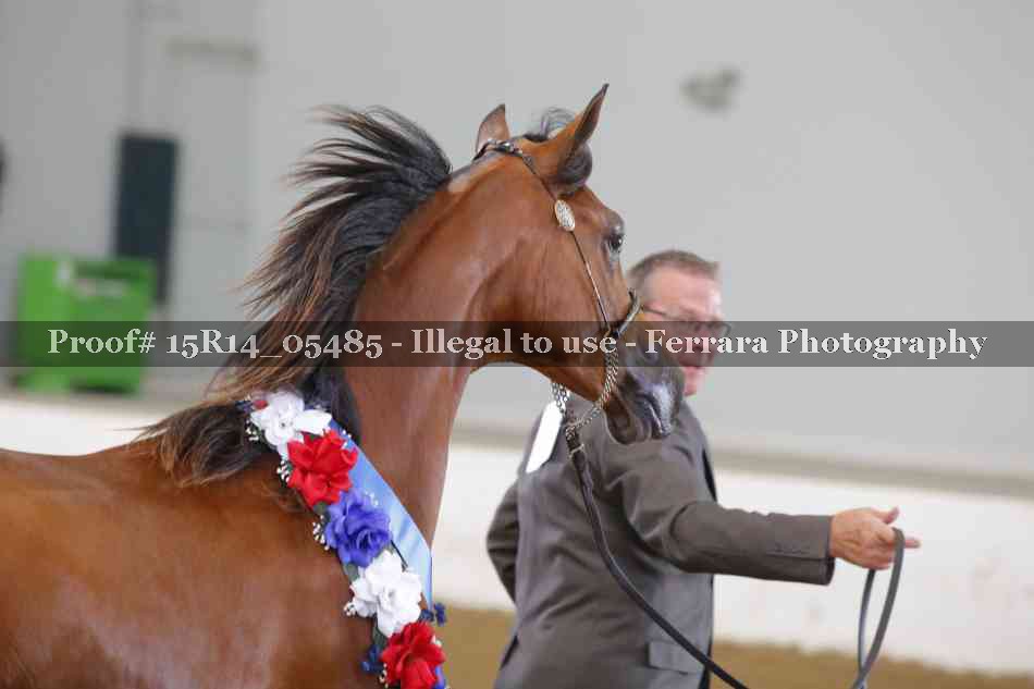 Proof Number 15R14_05485