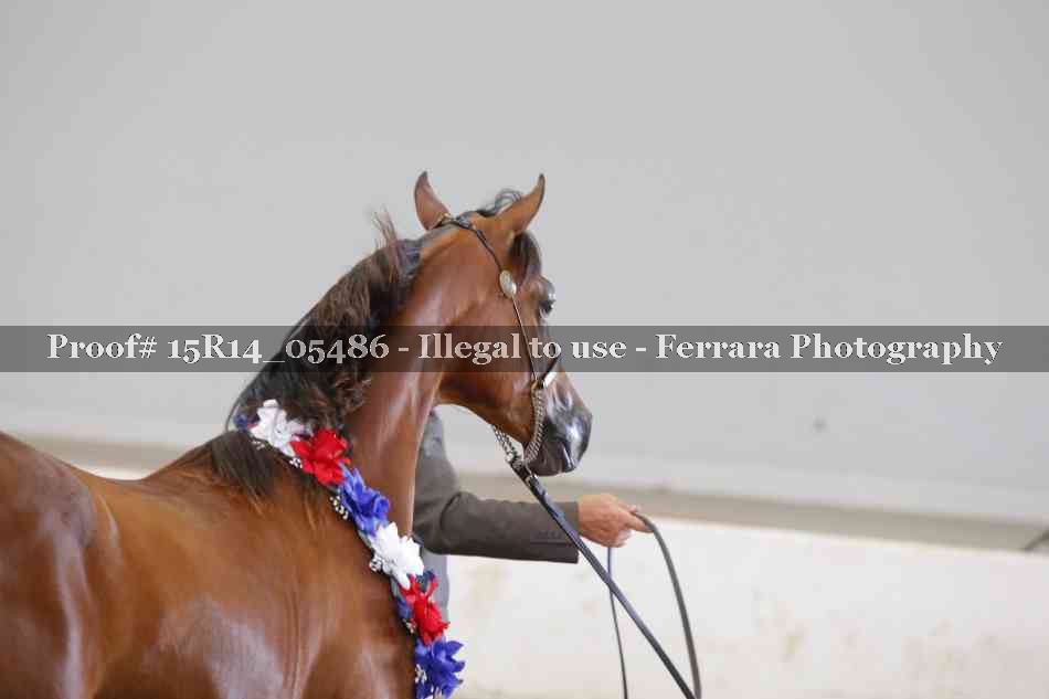 Proof Number 15R14_05486