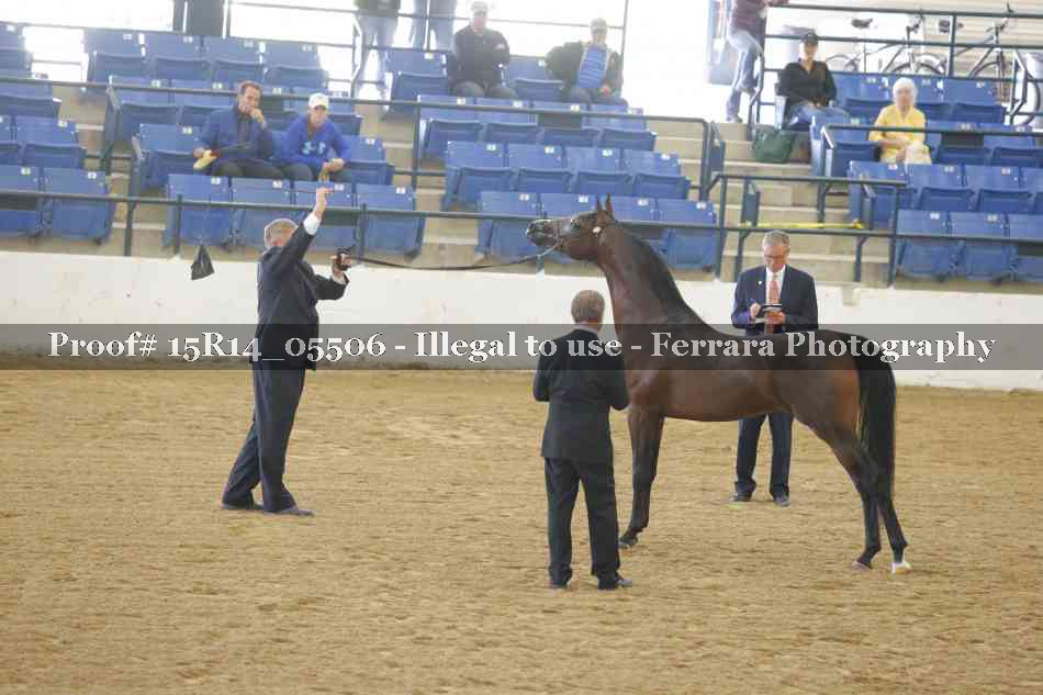 Proof Number 15R14_05506
