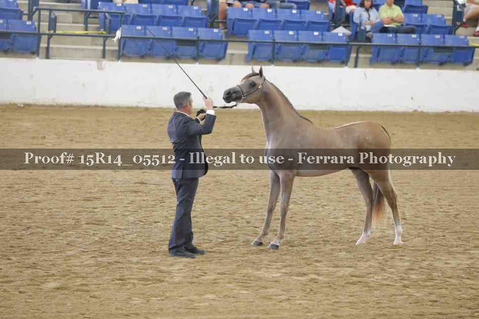 Proof Number 15R14_05512