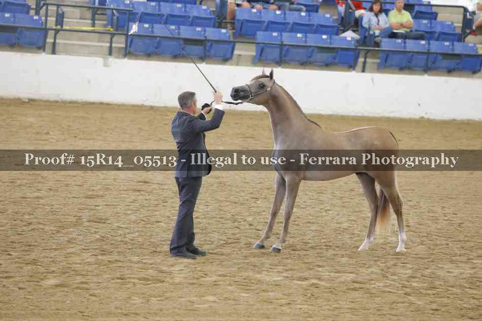 Proof Number 15R14_05513