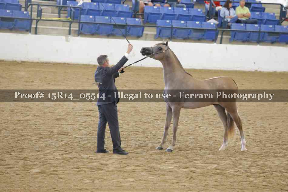 Proof Number 15R14_05514