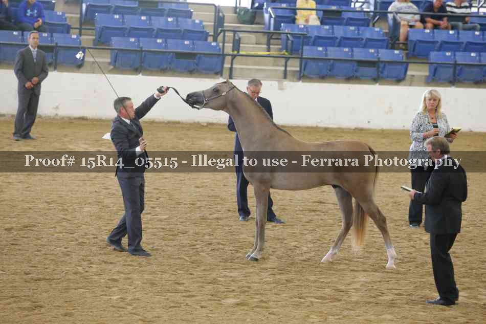 Proof Number 15R14_05515