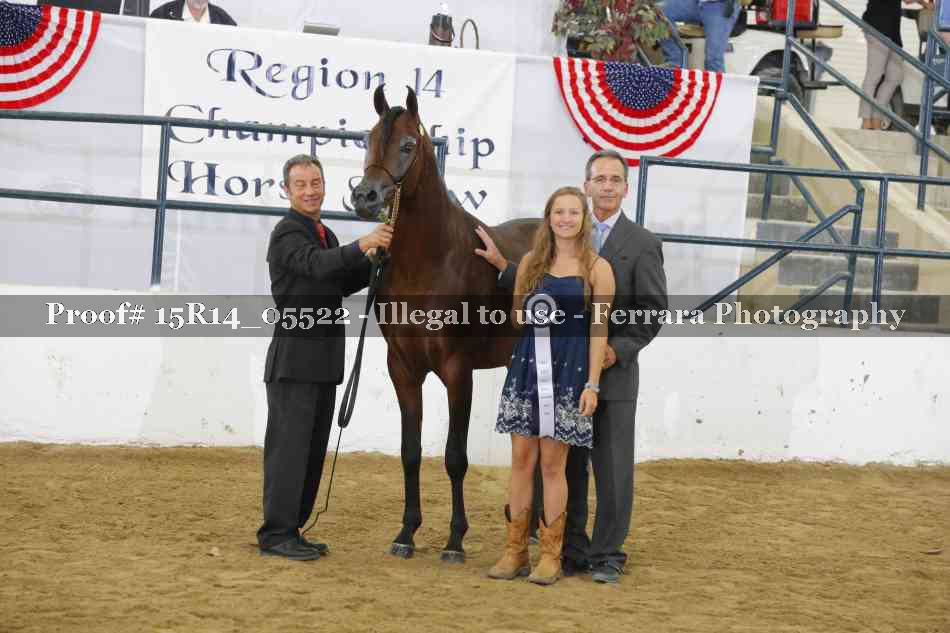 Proof Number 15R14_05522