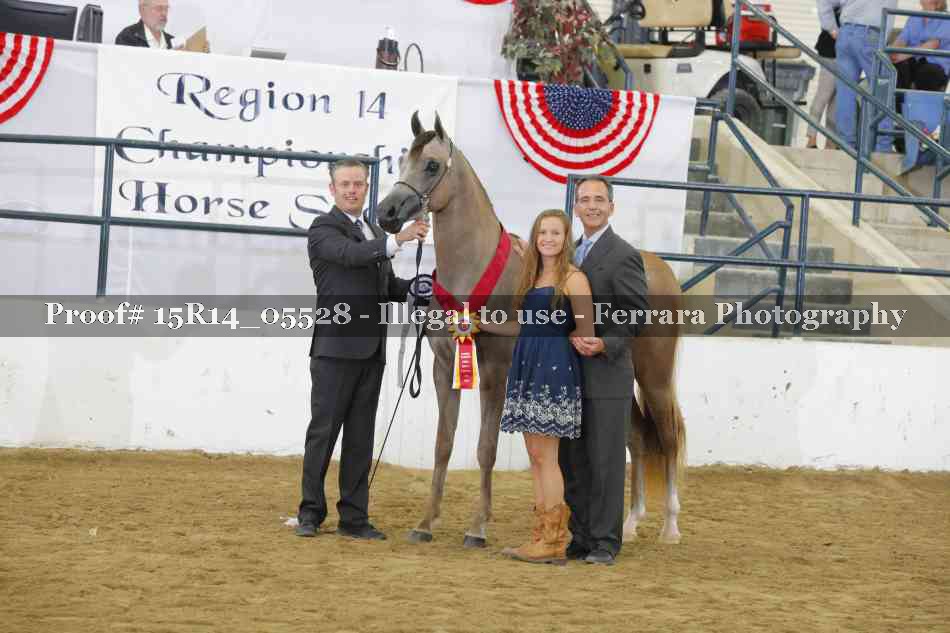 Proof Number 15R14_05528