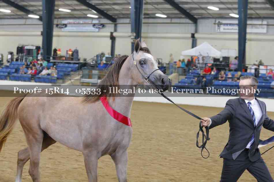 Proof Number 15R14_05533