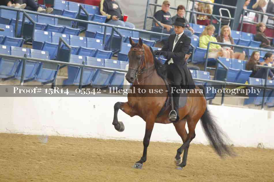 Proof Number 15R14_05542