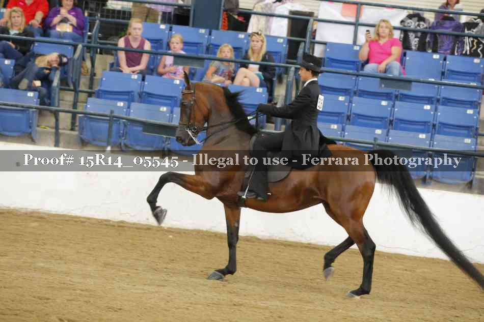 Proof Number 15R14_05545