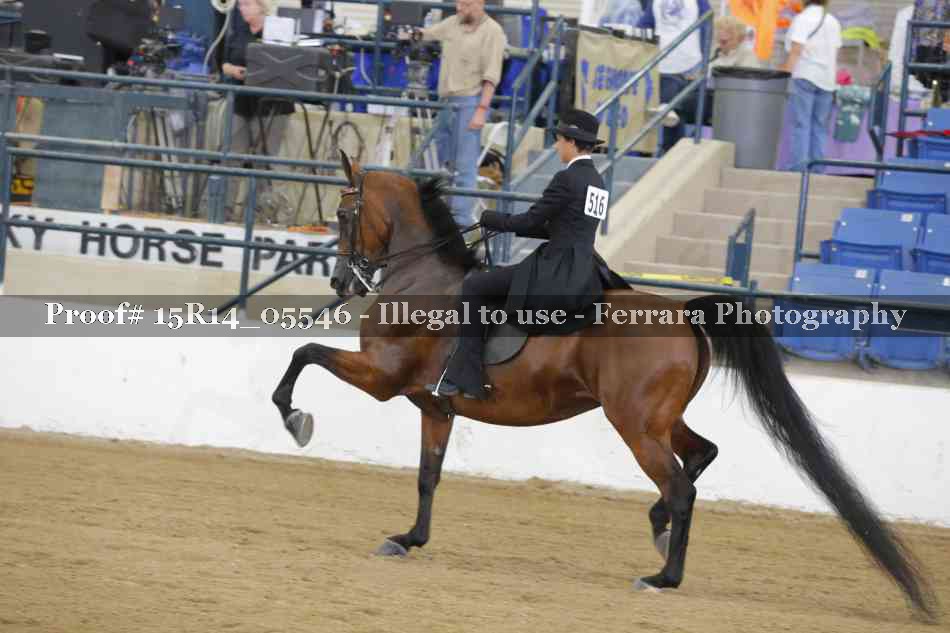 Proof Number 15R14_05546