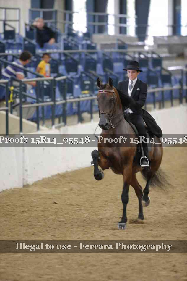 Proof Number 15R14_05548