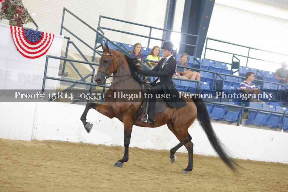 Proof Number 15R14_05551