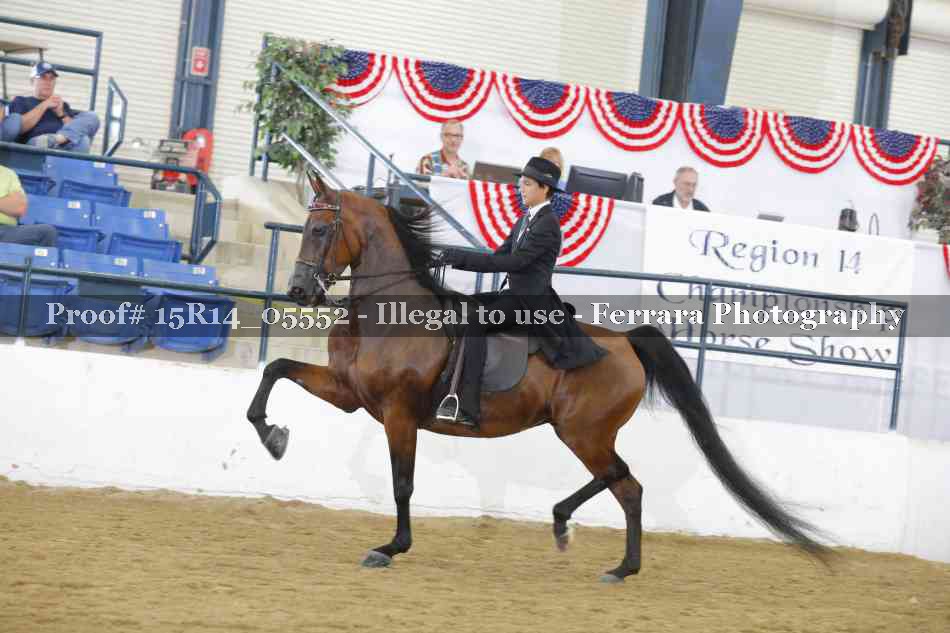 Proof Number 15R14_05552