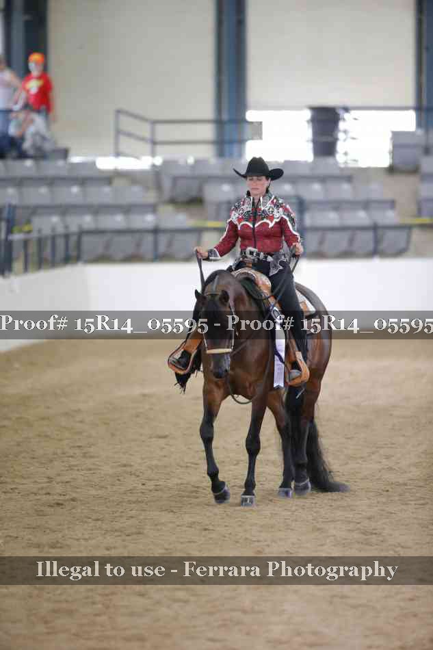 Proof Number 15R14_05595