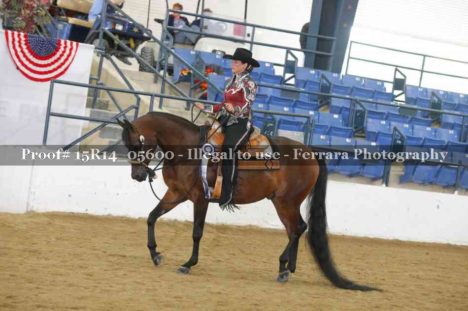 Proof Number 15R14_05600