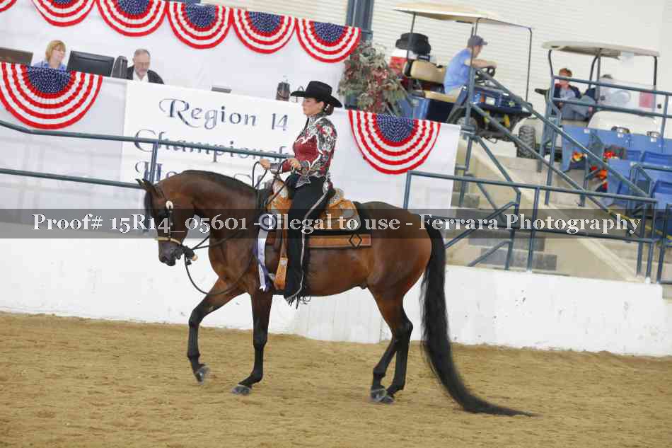 Proof Number 15R14_05601
