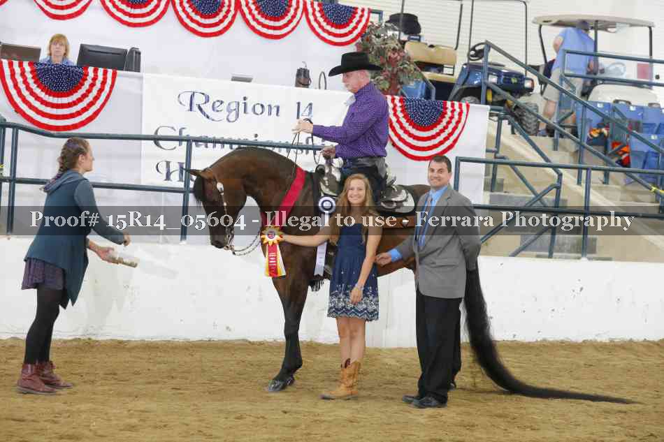 Proof Number 15R14_05604