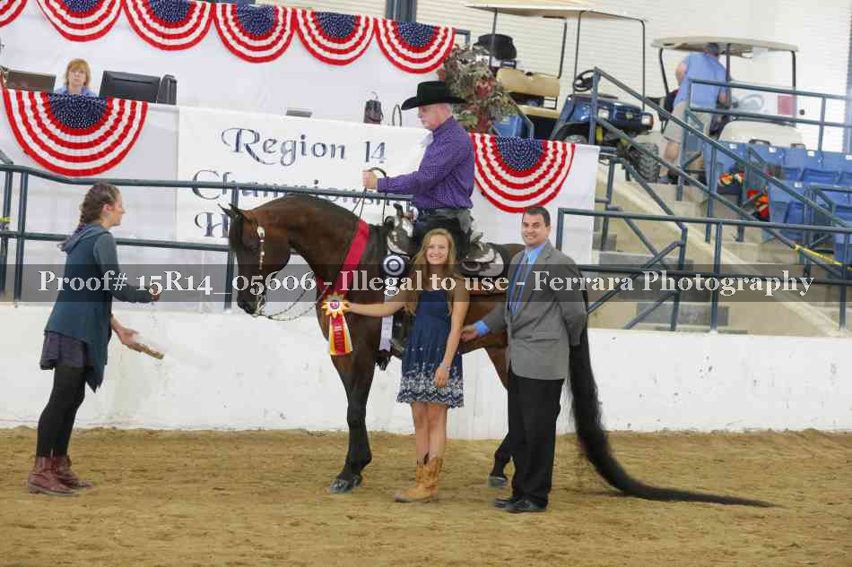 Proof Number 15R14_05606
