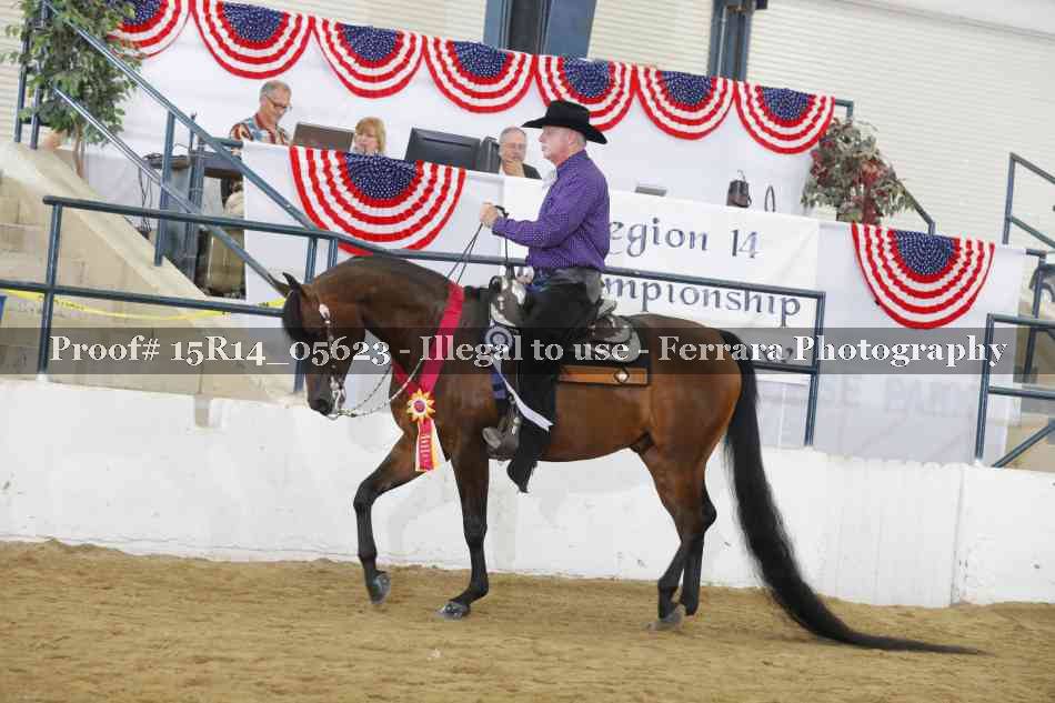 Proof Number 15R14_05623