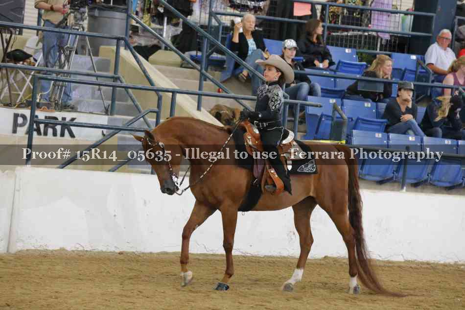 Proof Number 15R14_05635