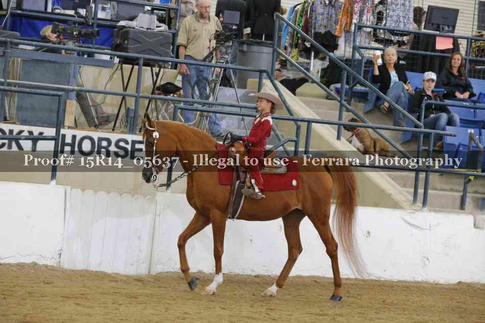 Proof Number 15R14_05637
