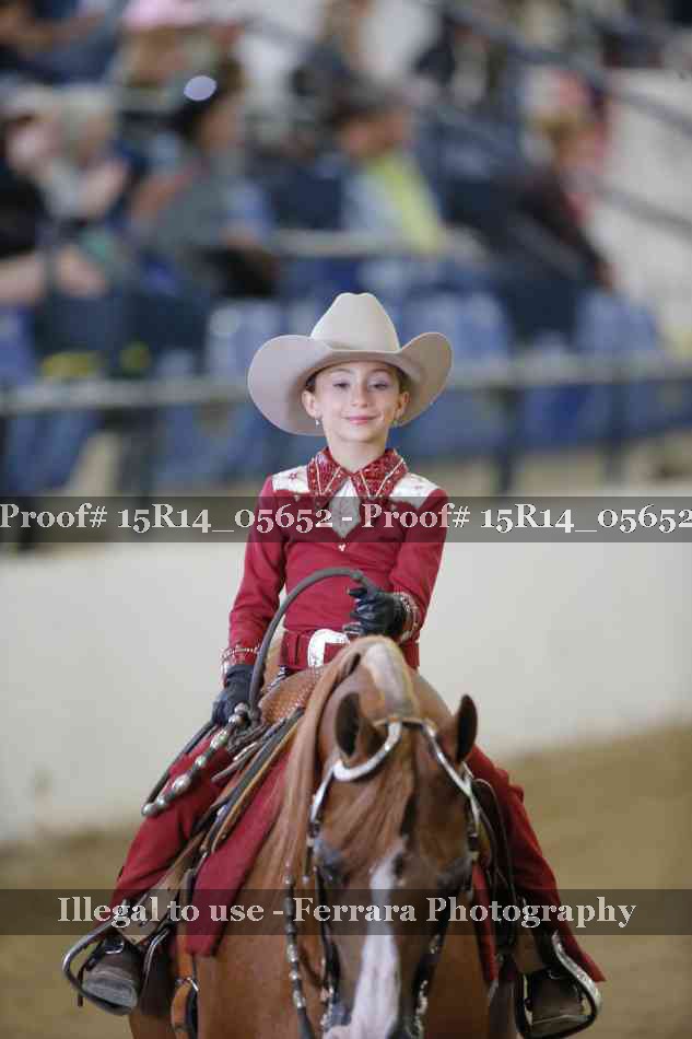Proof Number 15R14_05652