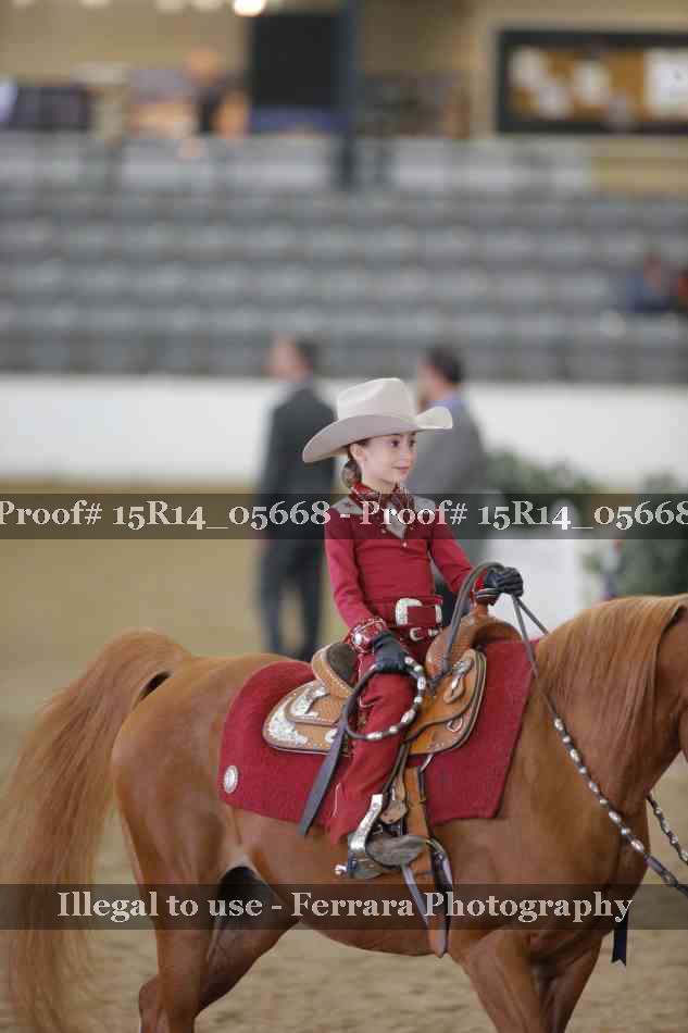 Proof Number 15R14_05668