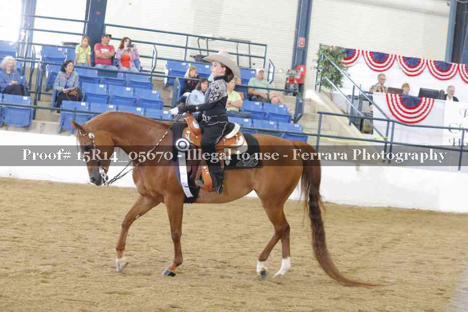 Proof Number 15R14_05670