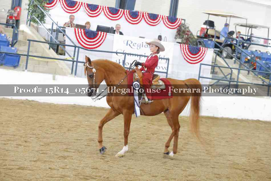 Proof Number 15R14_05671